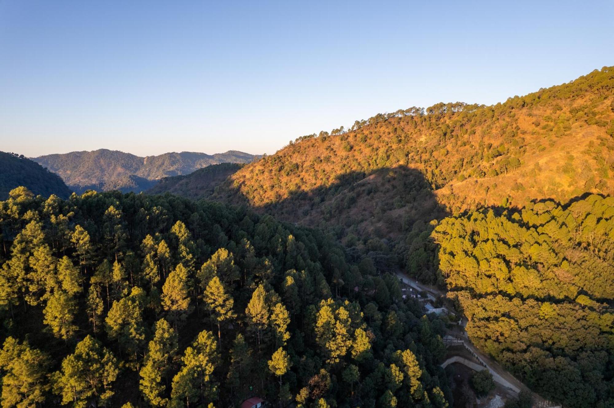 The Canadian Woods Resort Nainital Zewnętrze zdjęcie